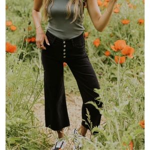 Powerhouse of the Cell Button Fly Jeans